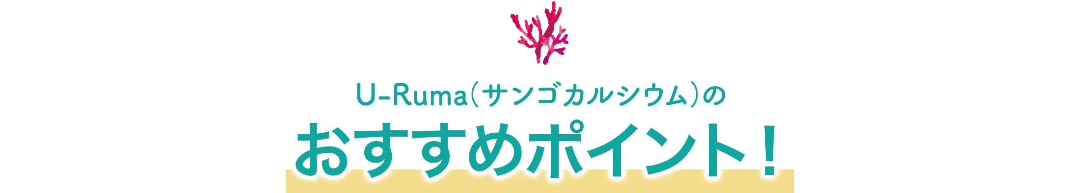 U-Rumaのおすすめポイント