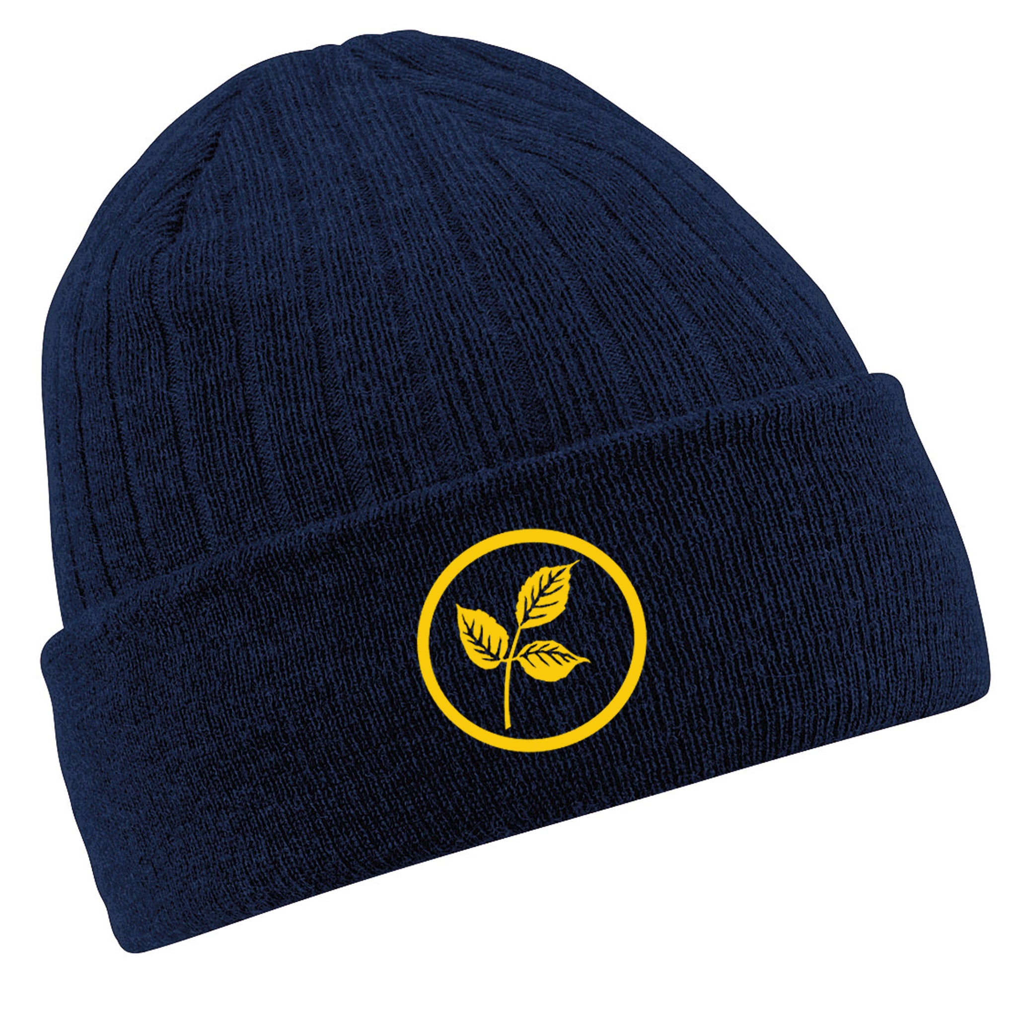 Amersham School Beanie