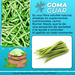 Goma Guar Fibra Dietaria