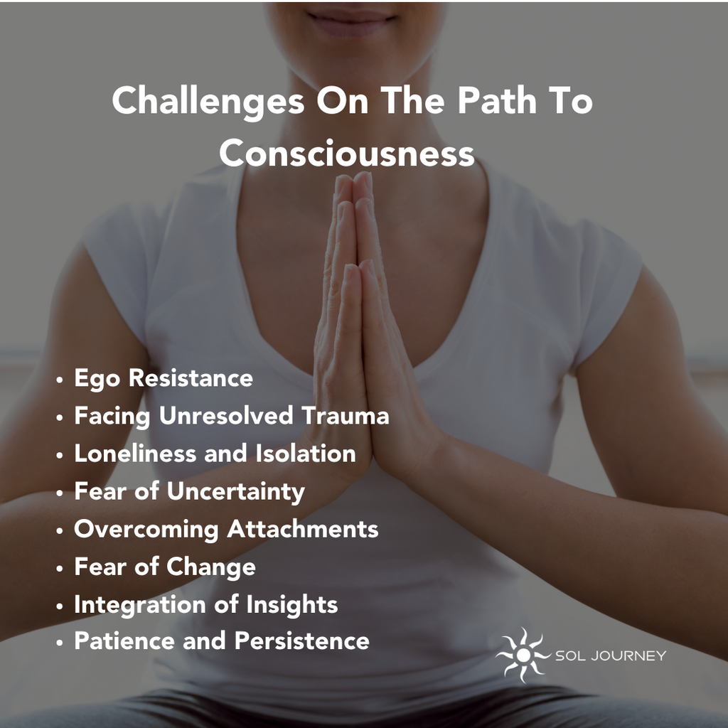 Challenges on the path to Consciousness