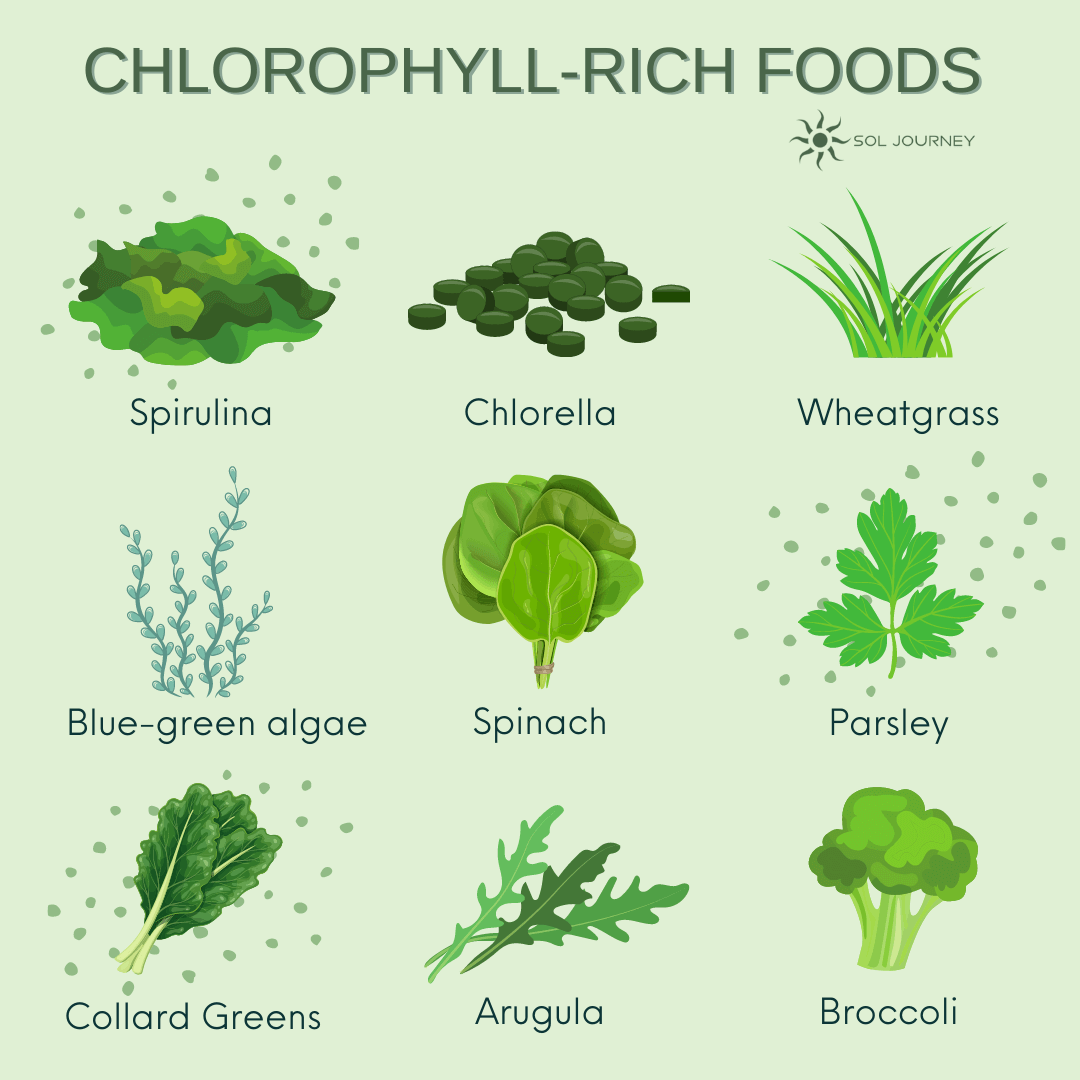 Chlorophyll rich foods to boost the Pineal Gland