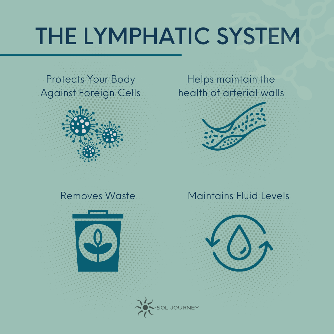 lymphatic system infographic, detox,  Path To Your Highest True Self