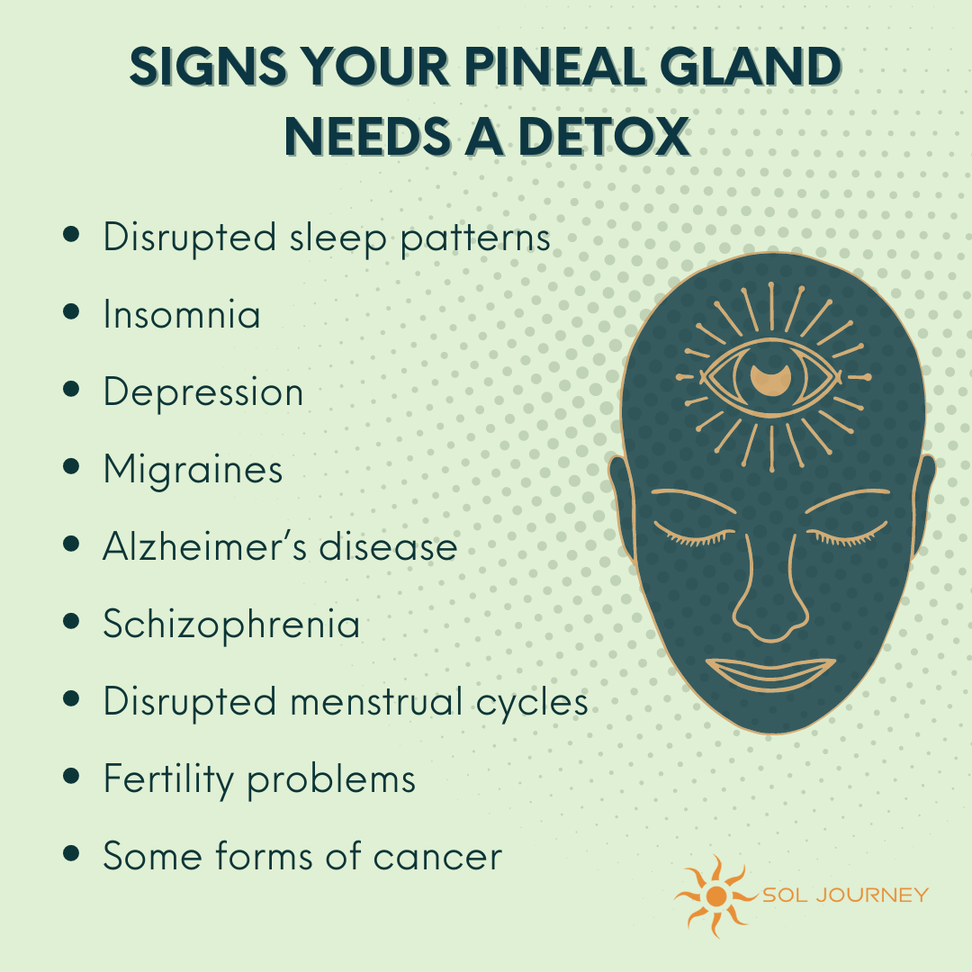 Signs your Pineal Gland needs to be detoxed