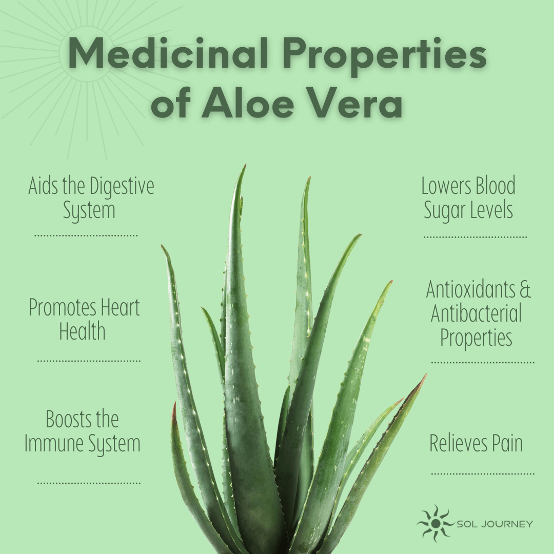 Medicinal properties of aloe vera