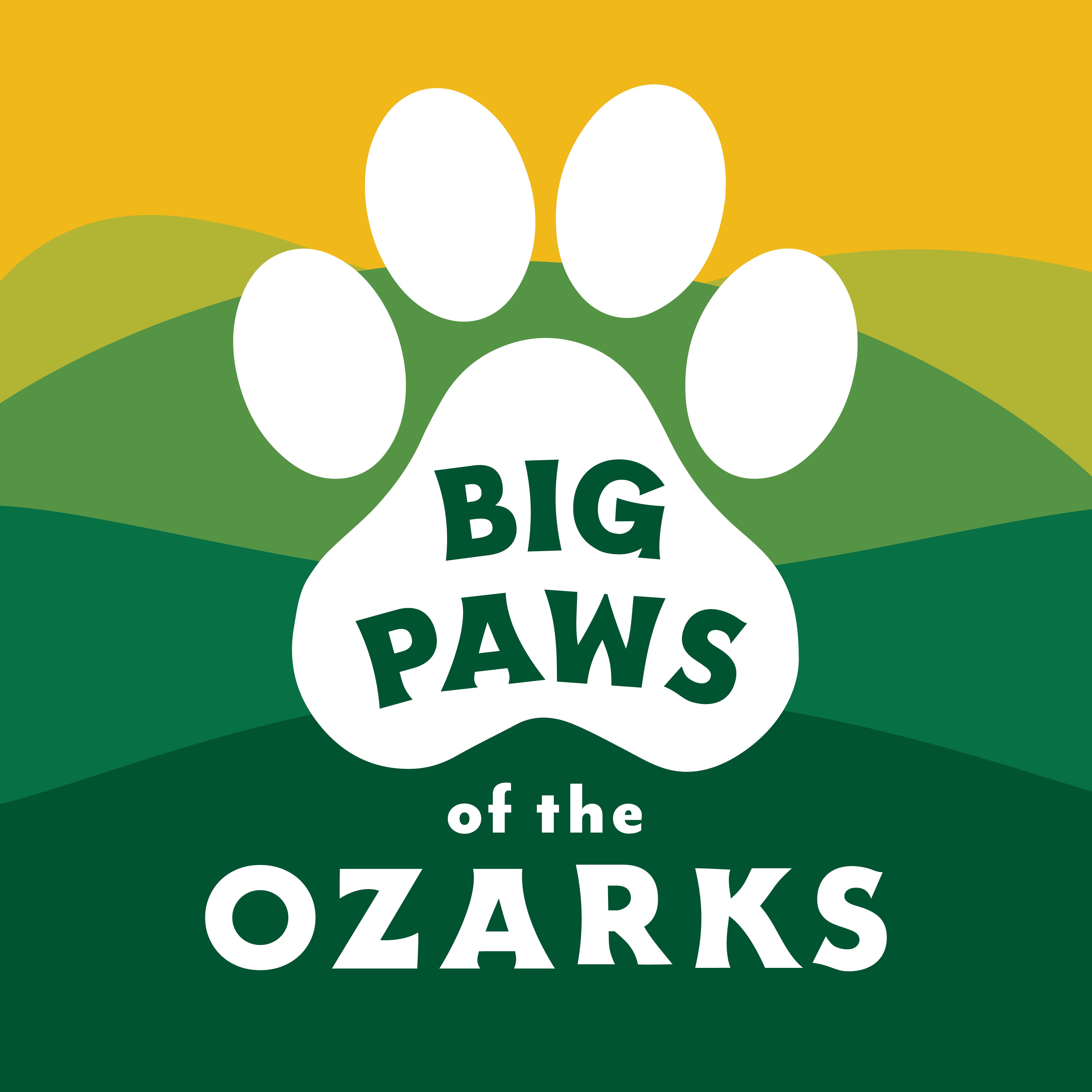 big-paws-of-the-ozarks.myshopify.com