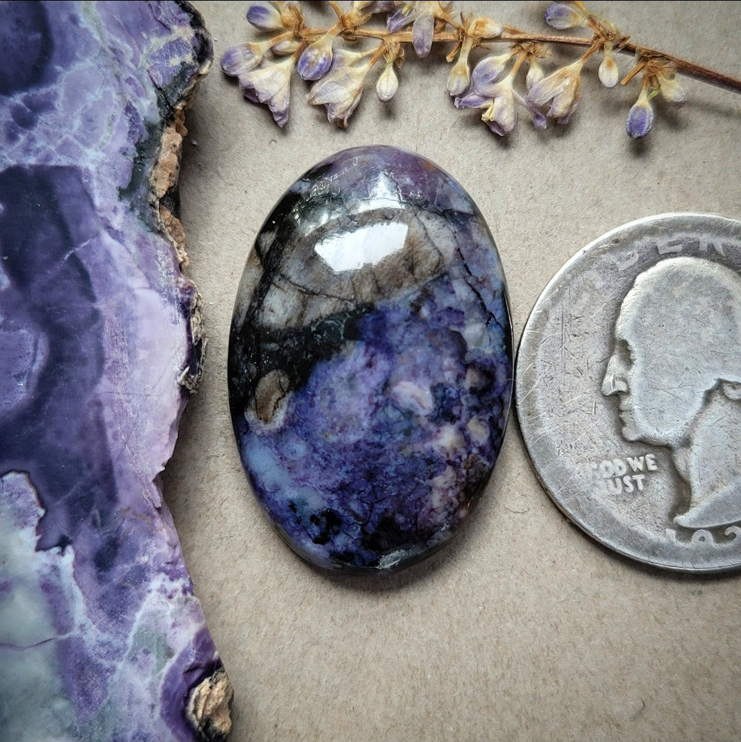 owyhee picture jasper