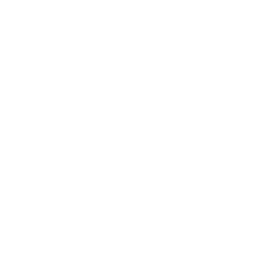 Footer Instagram Icon