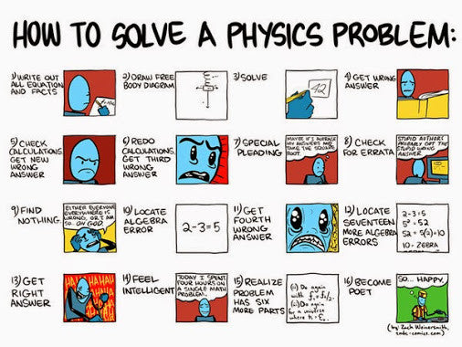 what is problem solving in physics