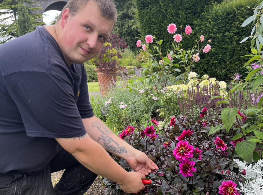 Gardener Callum deadheading flowers at Kilver Court