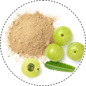 Organic Amla Powder for Hair Growth - Organiczing