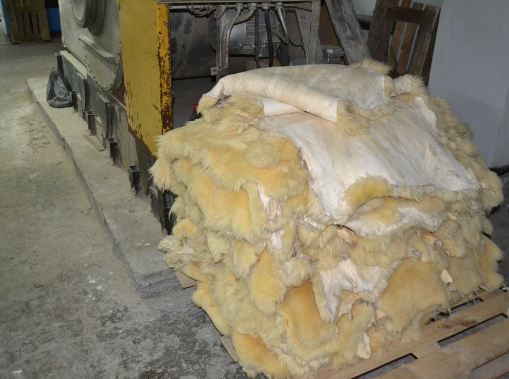 Production of Sheepskin
