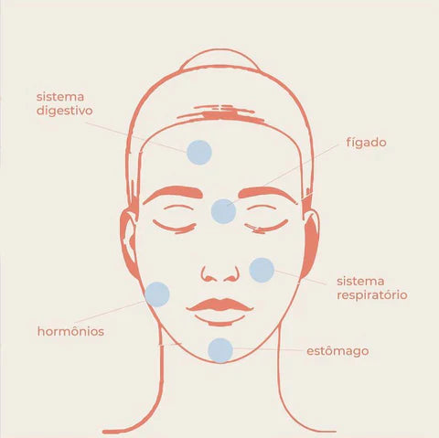 desenho ilustrando o mapa das espinhas no rosto