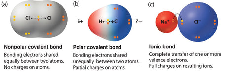 Learn about bonds