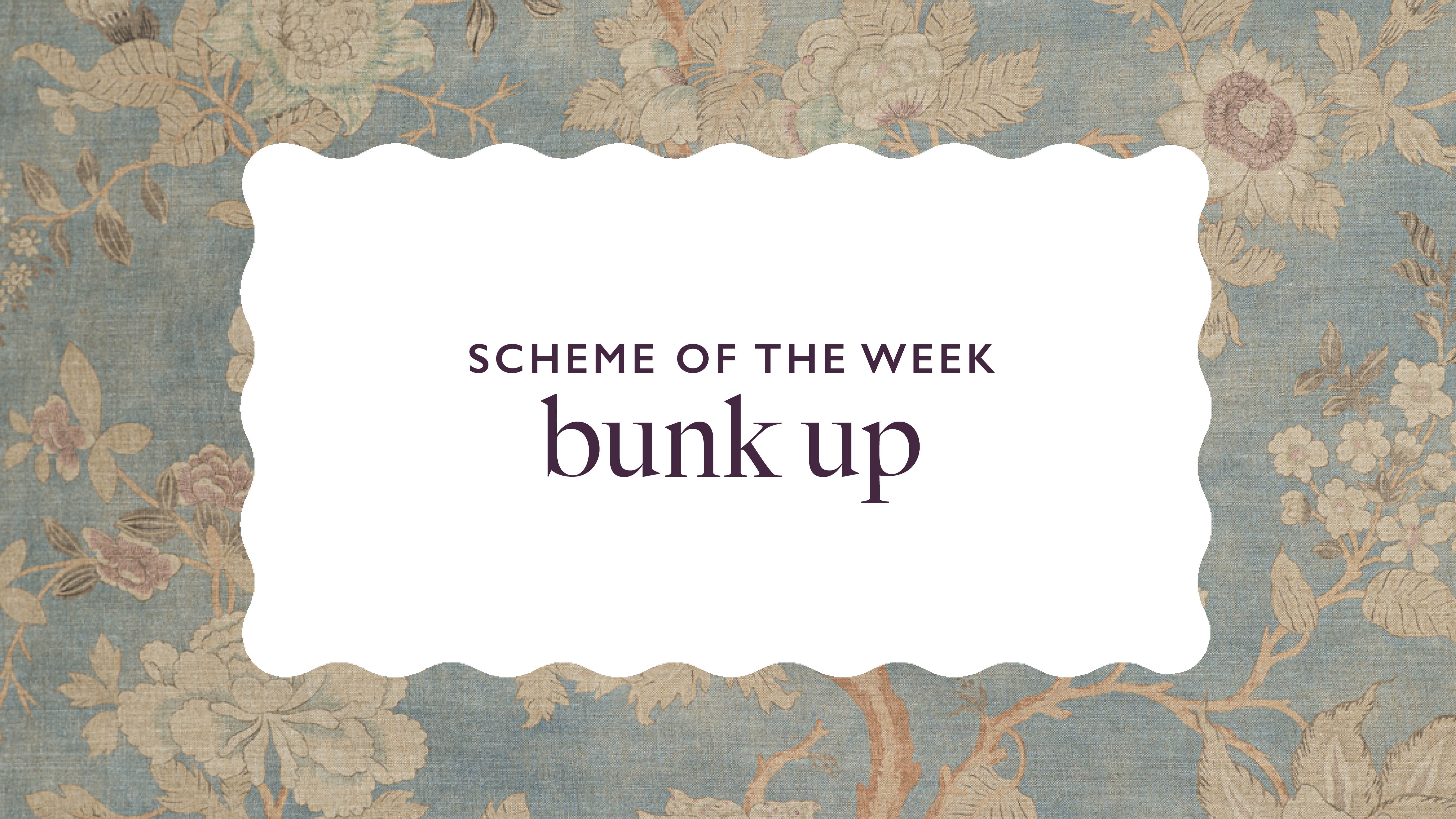 Scheme of the Week: Bunk Up – Coley Home