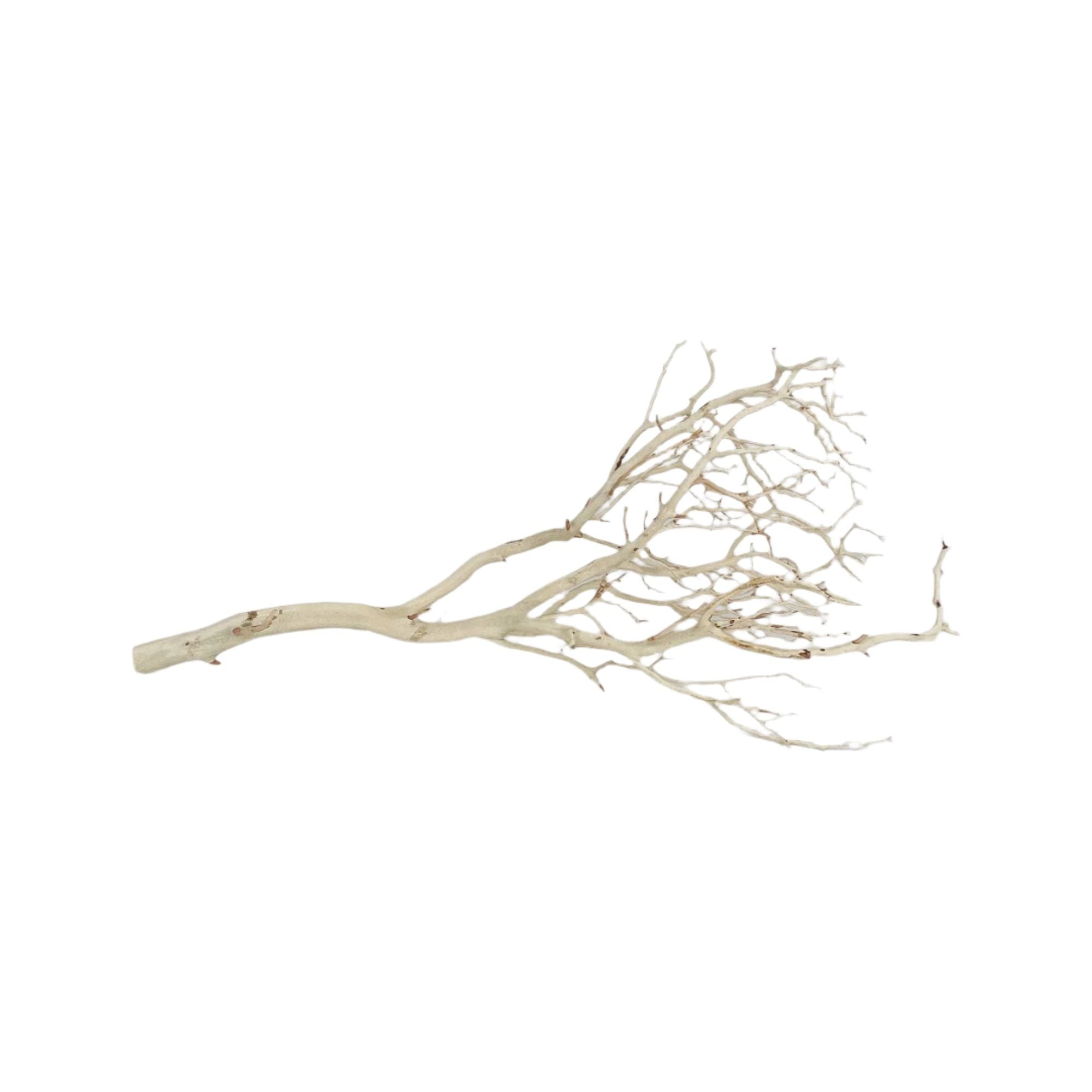 Manzanita Sandblasted Branches: 18-22"