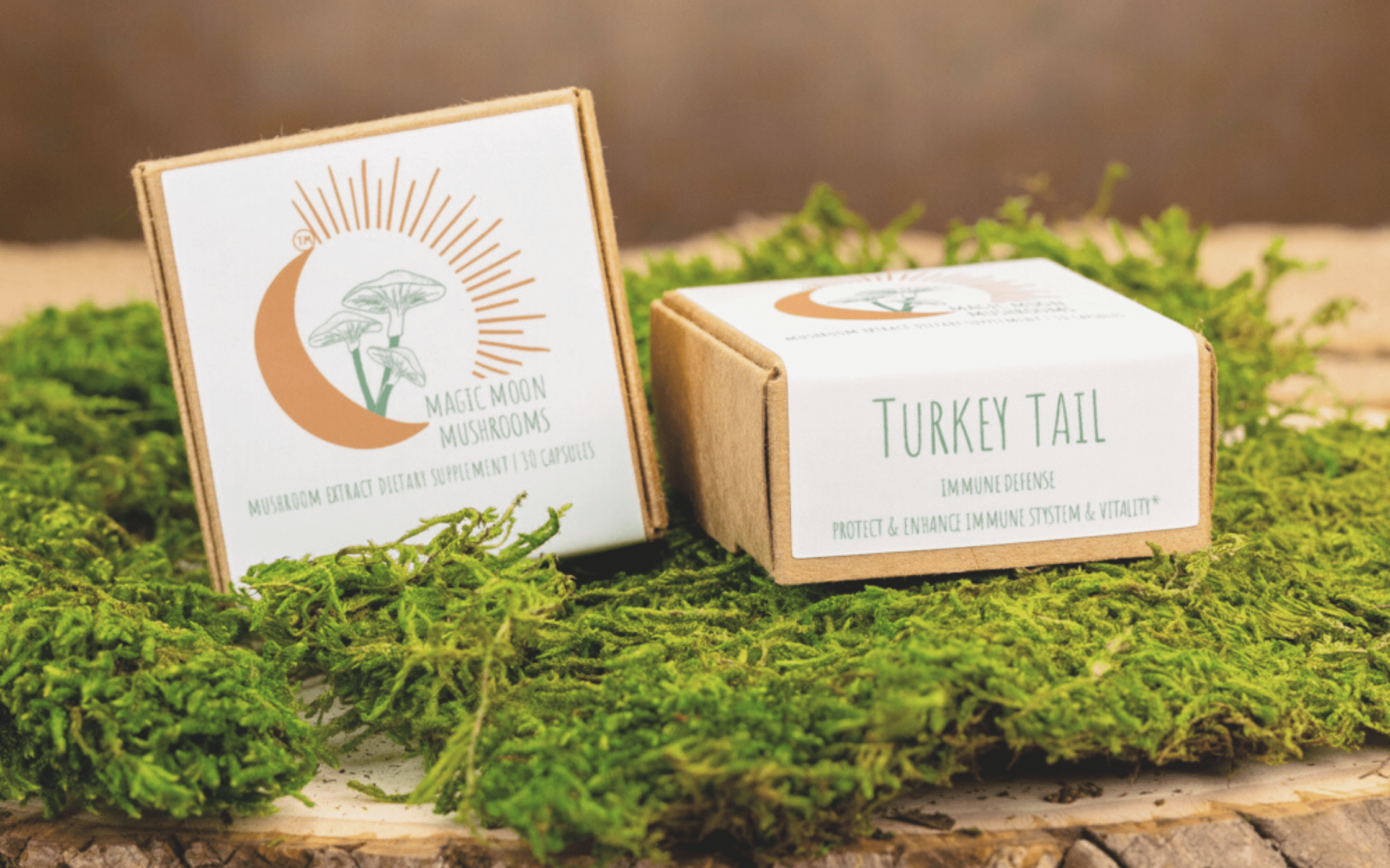 turkey tail mushroom supplements by Magic Moon Mushrooms