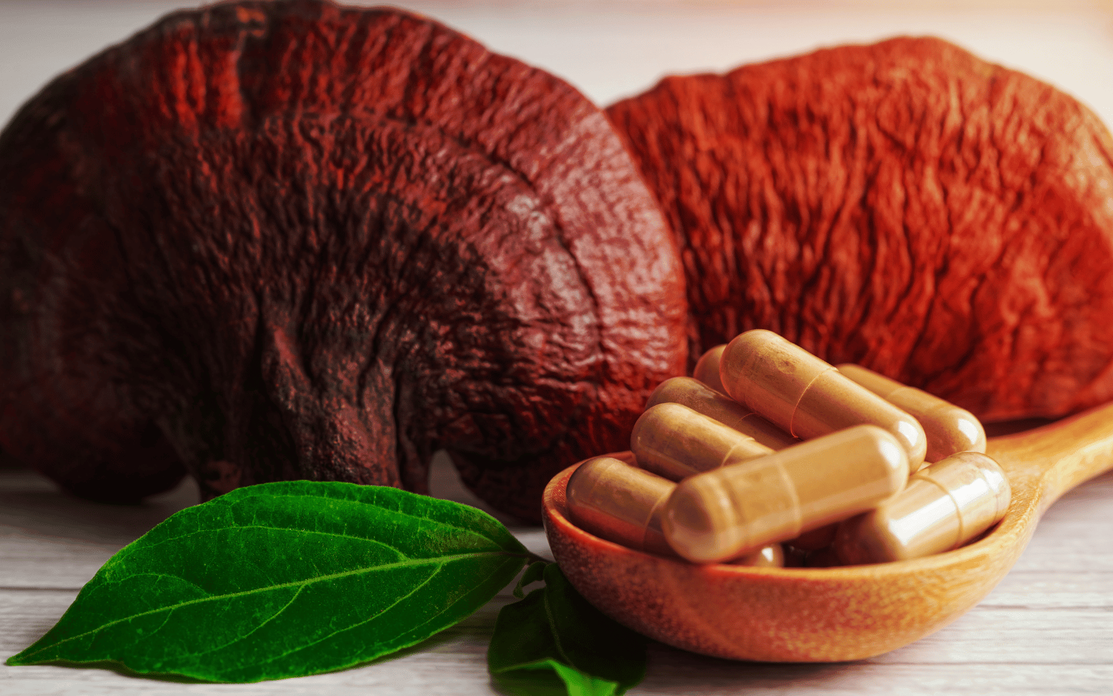 reishi mushroom supplements