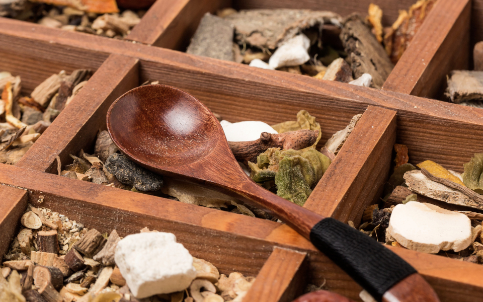 mushroom varieties with spoon