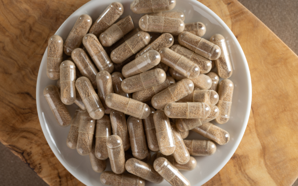 medicinal mushroom supplements