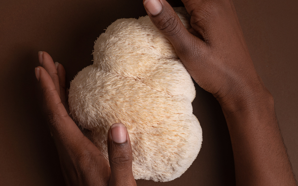 woman's hands holding Lion's Mane Mushrooms