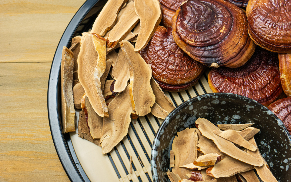 medicinal mushrooms on plate