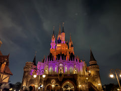 Disneyland Cinderella Castle