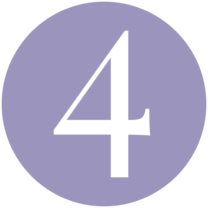 Icon 4