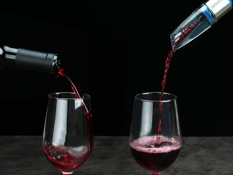 2-in-1 Wine Aerator Pourer and Stopper