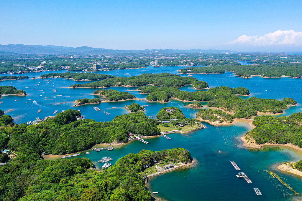 英虞湾の真珠養殖場