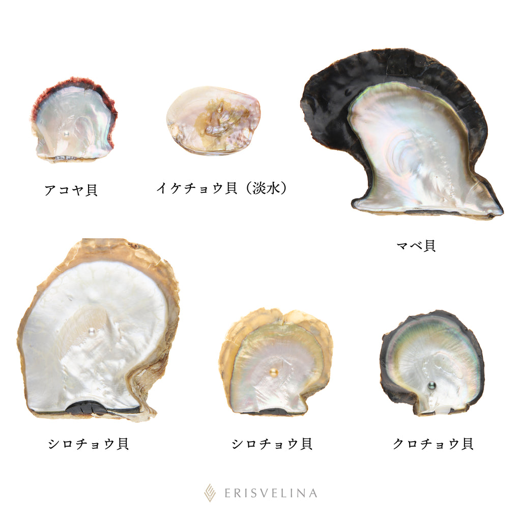 真珠の種類