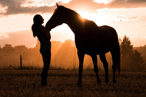 How to Cope with Losing a Horse: A Guide to Healing