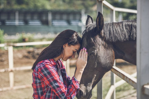 How to Cope with Losing a Horse: A Guide to Healing