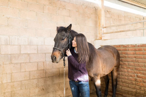 Essential Fall Diet Transitions for Your Horse as Summer Winds Down