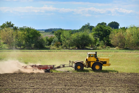 Streamlining Pasture Management: Harrowing vs. Manure Removal