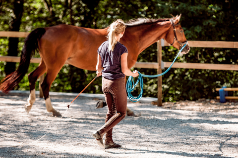 Making Quality Time with Your Horse a Priority in the New Year (And How Paddock Blade Can Help!)