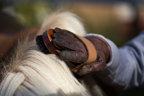 Making Quality Time with Your Horse a Priority in the New Year (And How Paddock Blade Can Help!)