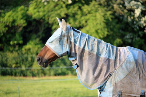 Must-Have Summer Riding Gear for You and Your Horse