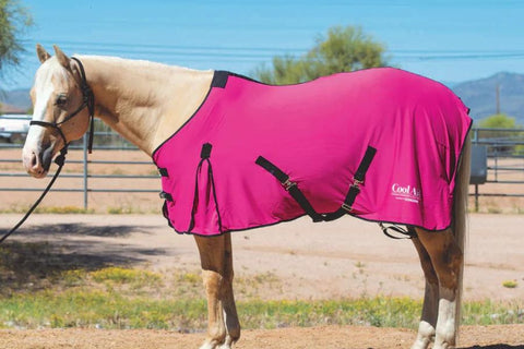 Must-Have Summer Riding Gear for You and Your Horse
