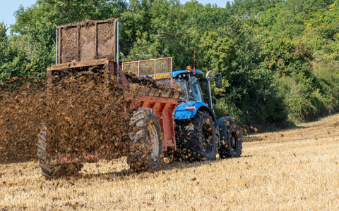 The 4 Most Important Reasons to Remove Horse Poo From Your Paddocks