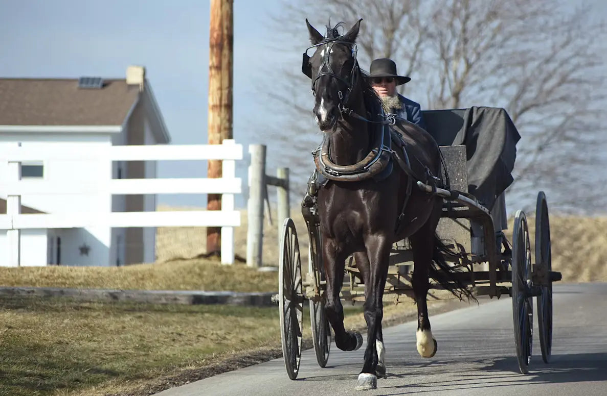 horsepower in action
