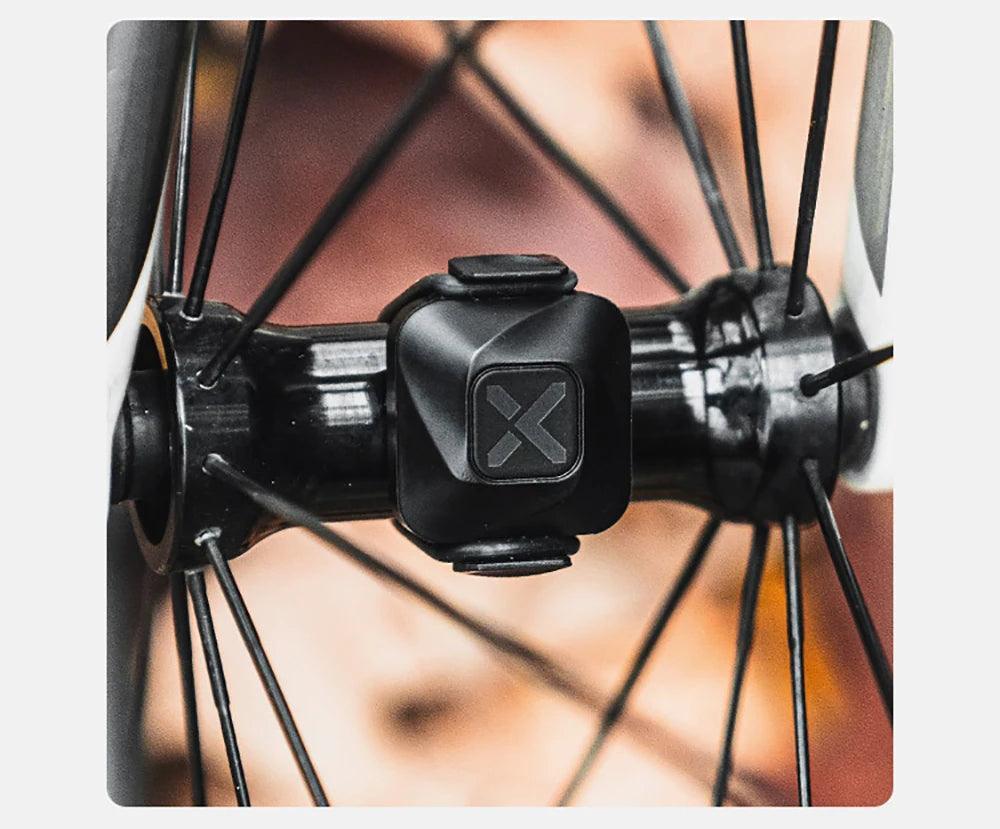 Pogo Cycles