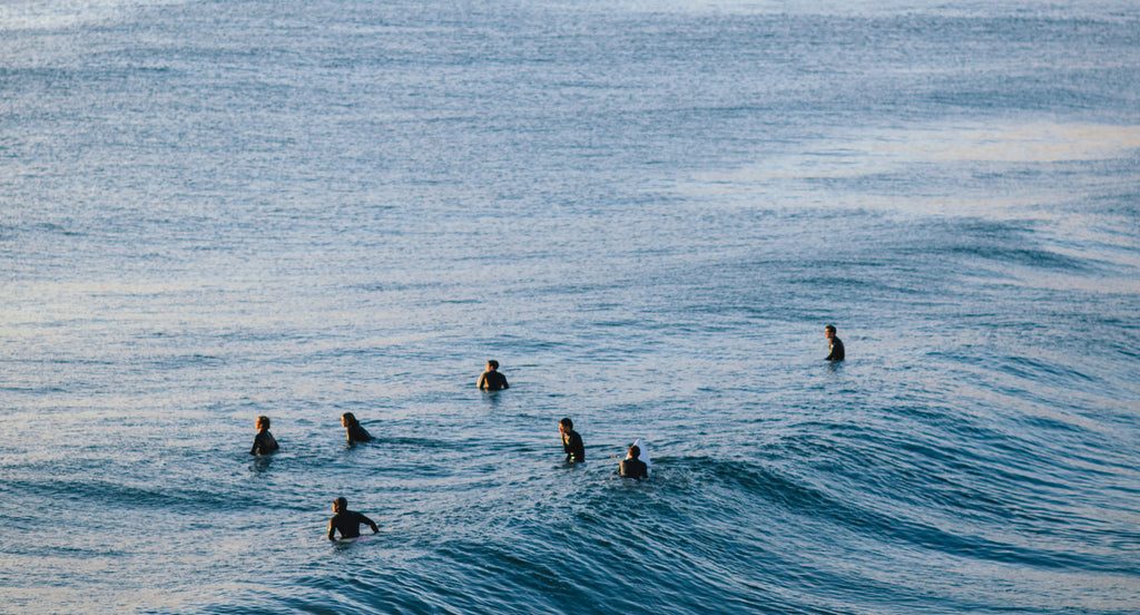 surfers with ocean waves
