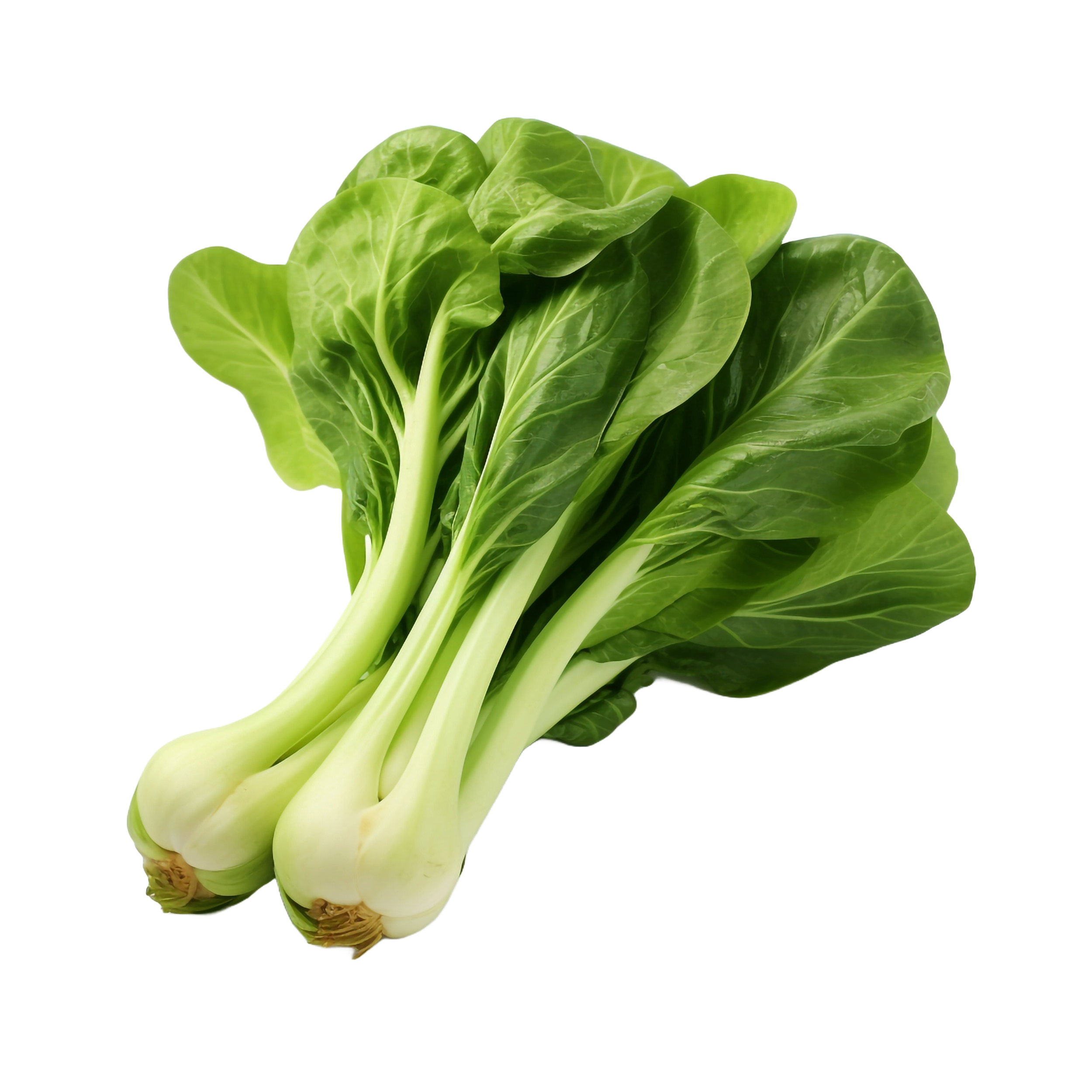 Fresh bok choy -1.png__PID:b76a2c1c-8701-4ef6-98a8-4a602afe5de7