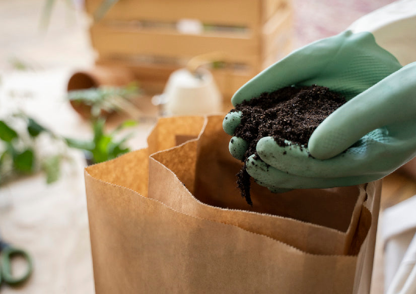 person-transplanting-plants-new-pots-2-01.jpg__PID:bbd51628-ec01-4b17-8dfb-34fe378209bc