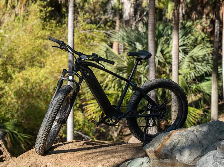 VELOWAVE RANGER FAT TIRE EBIKE - VWFMTB3