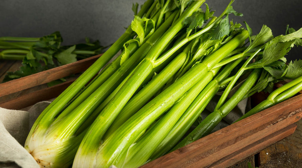 celery