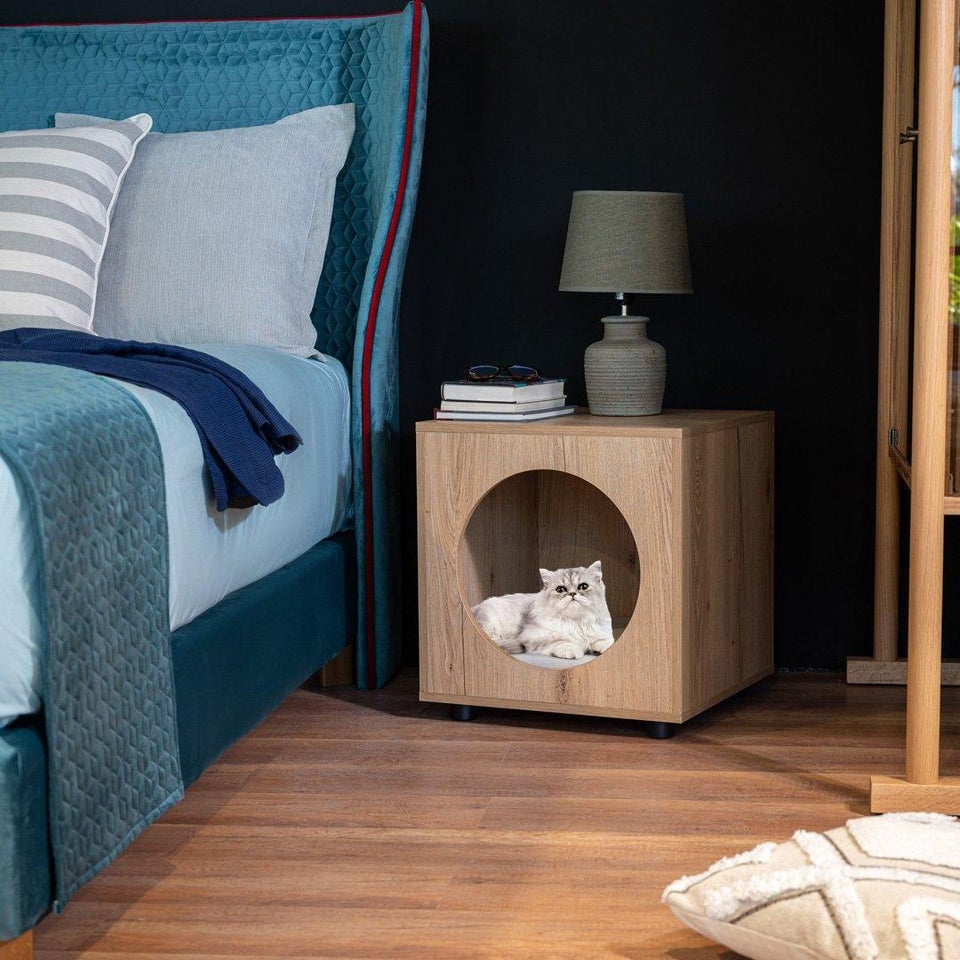 A small cat is sitting in her cat house.