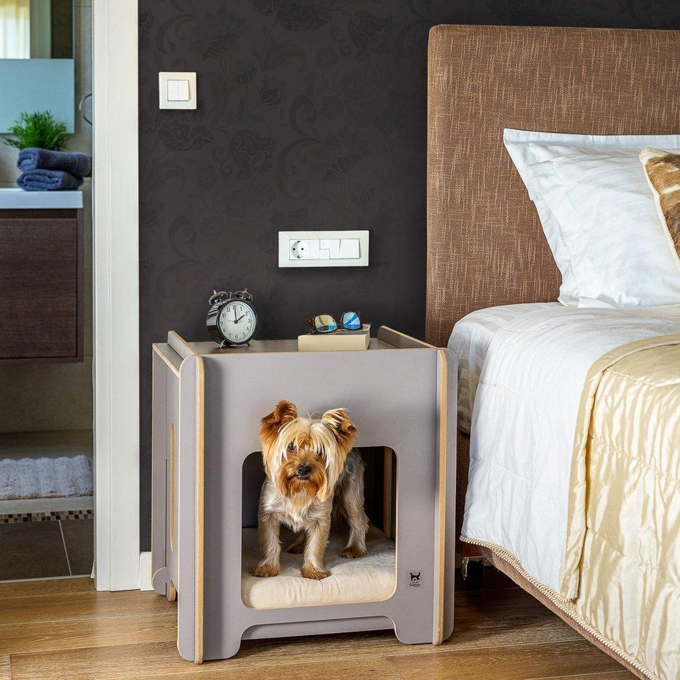 A small brown dog is sitting on his grey dog house.