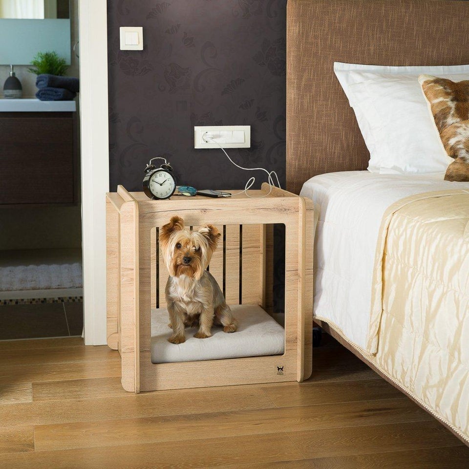 A small dog is sitting on his wooden dog house.