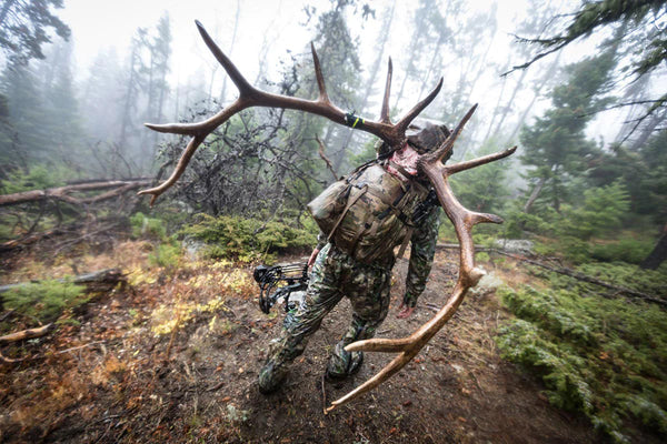 Elk hunter packing out skull